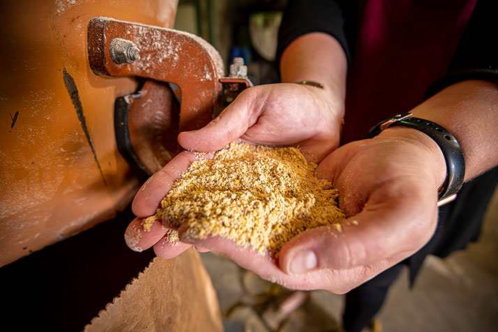 A hand full of poultry feed